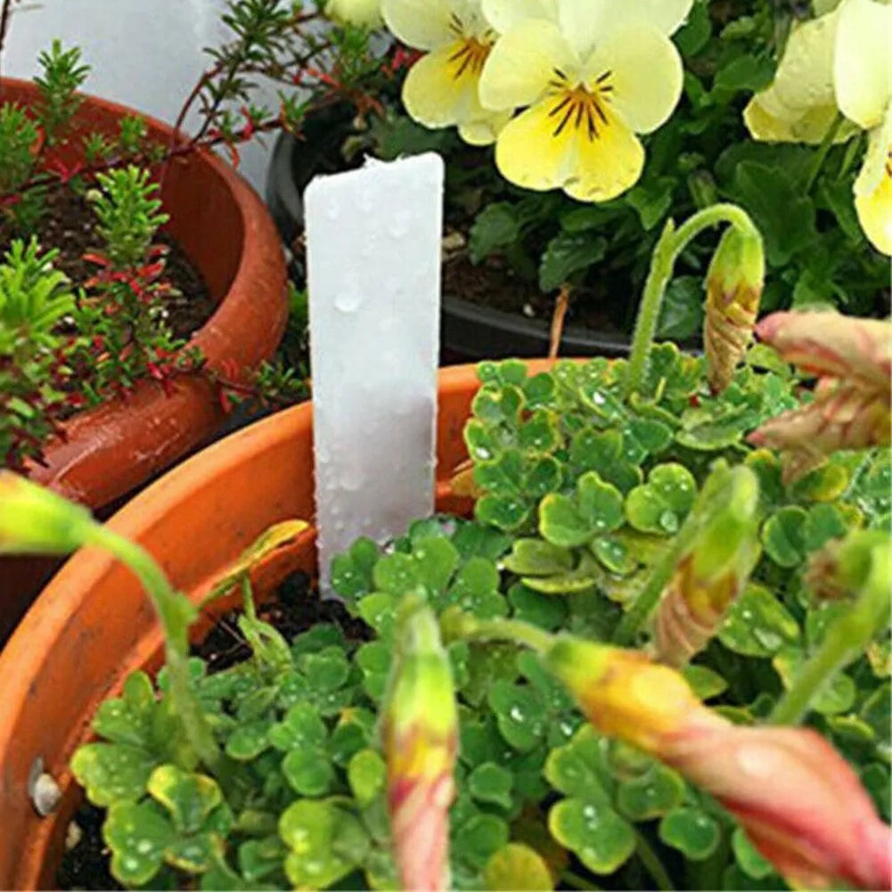 100pcs Garden Plant Labels Plant Accessories Flower Pots Plastic Plant Tags Nursery Markers Label Tray Mark DIY Tool