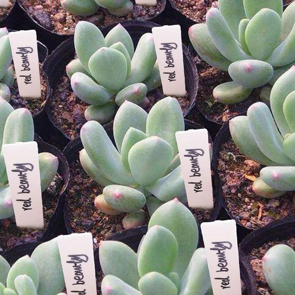 100pcs Garden Plant Labels Plant Accessories Flower Pots Plastic Plant Tags Nursery Markers Label Tray Mark DIY Tool