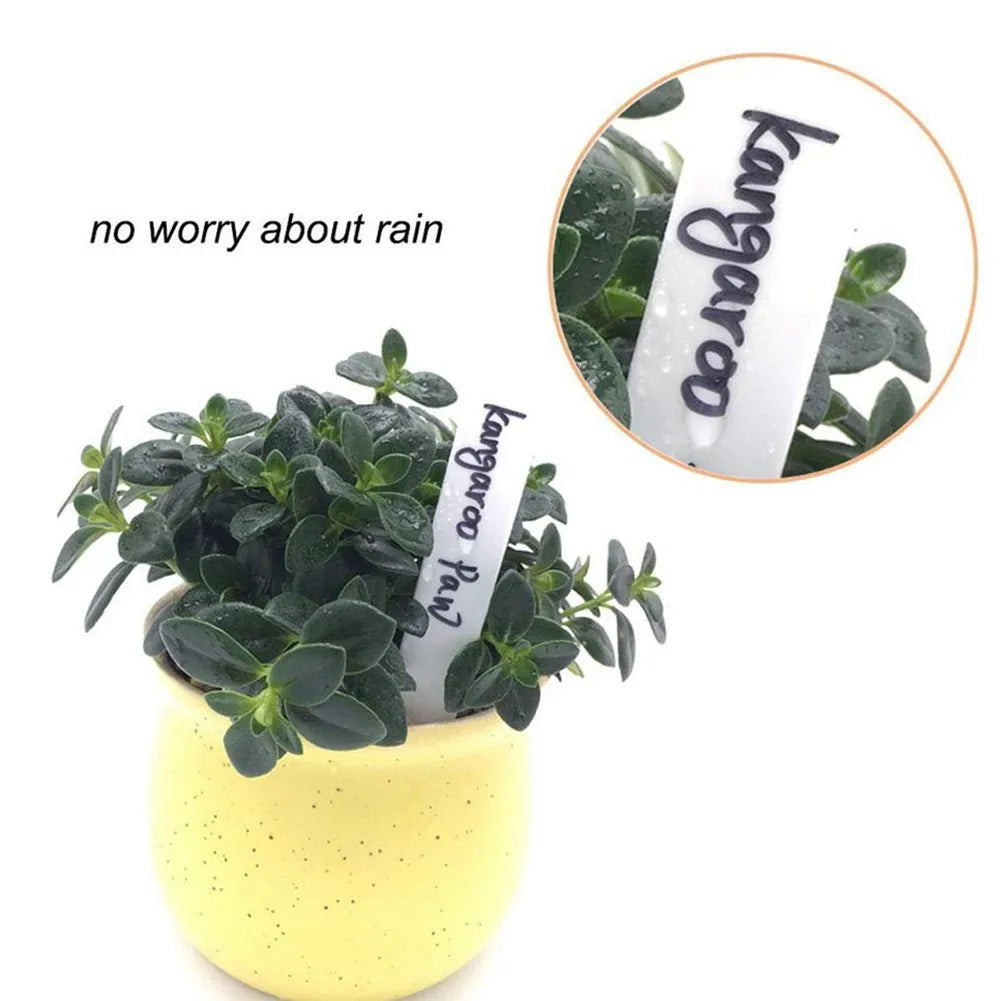 100pcs Garden Plant Labels Plant Accessories Flower Pots Plastic Plant Tags Nursery Markers Label Tray Mark DIY Tool